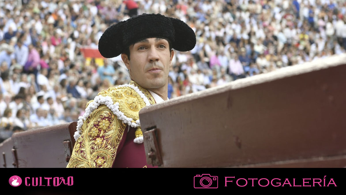 Fotogalería Madrid 1 6 2025