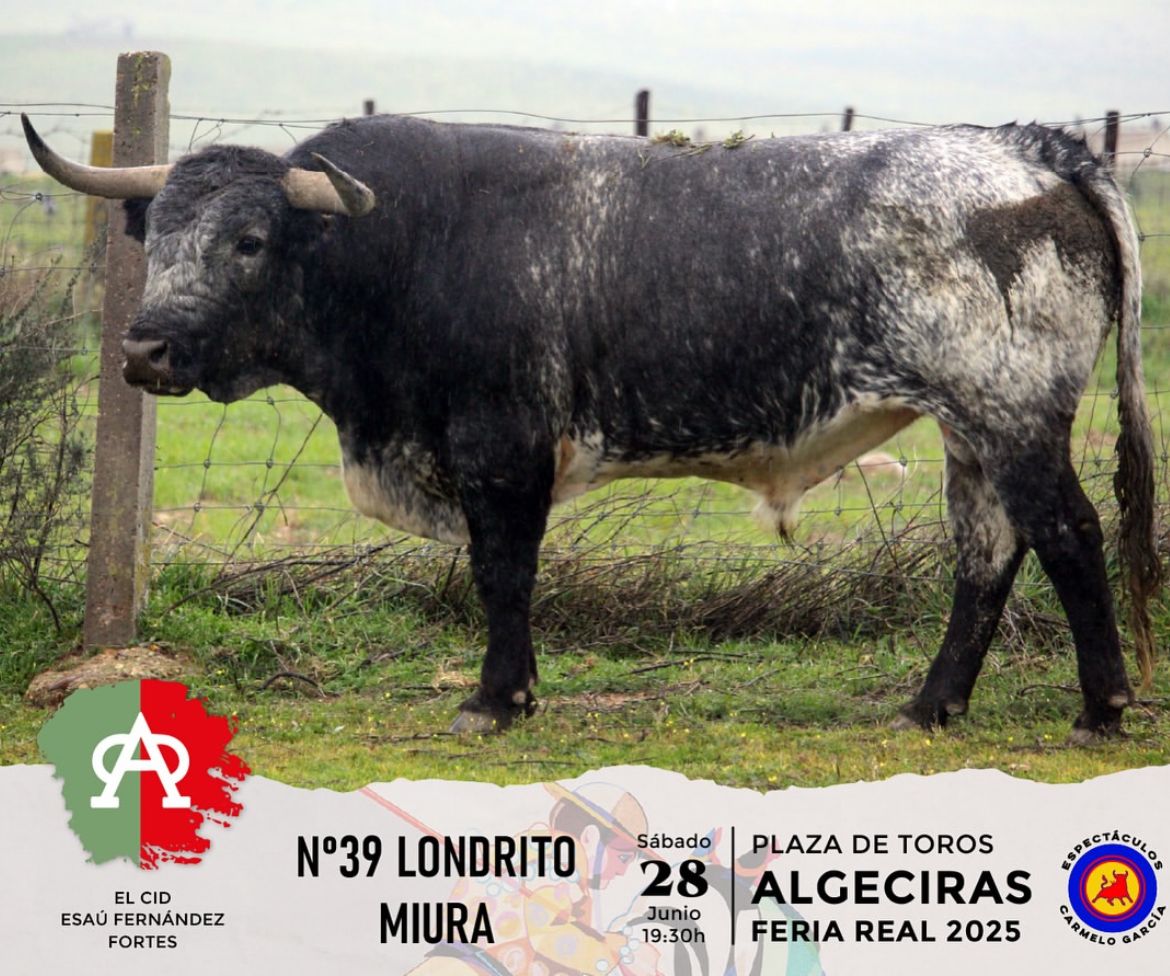 Seria corrida de Miura para Algeciras