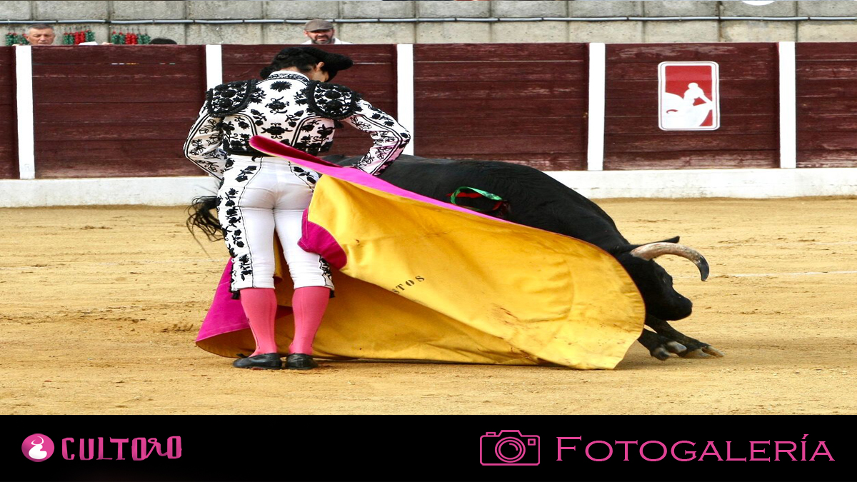 Plantilla Fotogalería