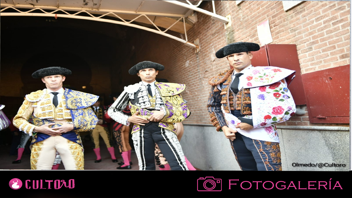 Plantilla Fotogalería