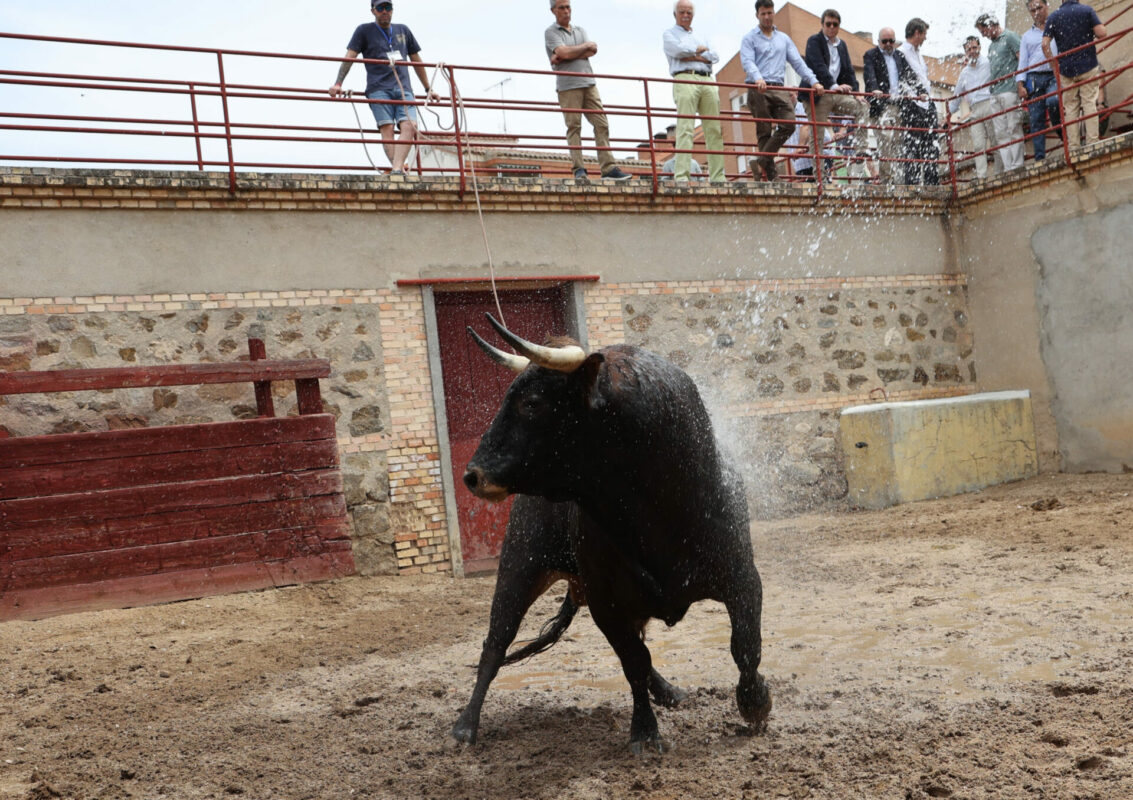 Sorteo Alicante