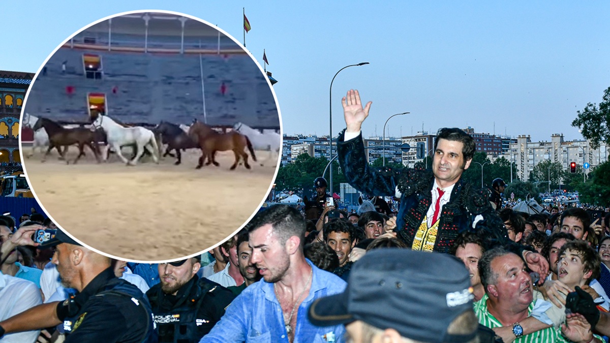 Caballos Madrid