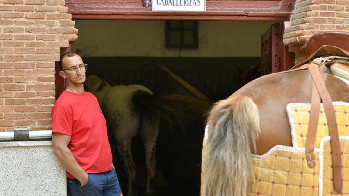 Equigarce