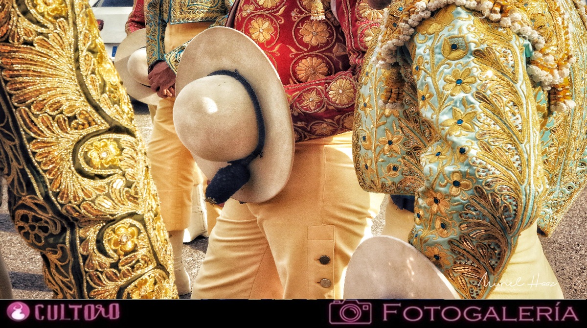 Galeria