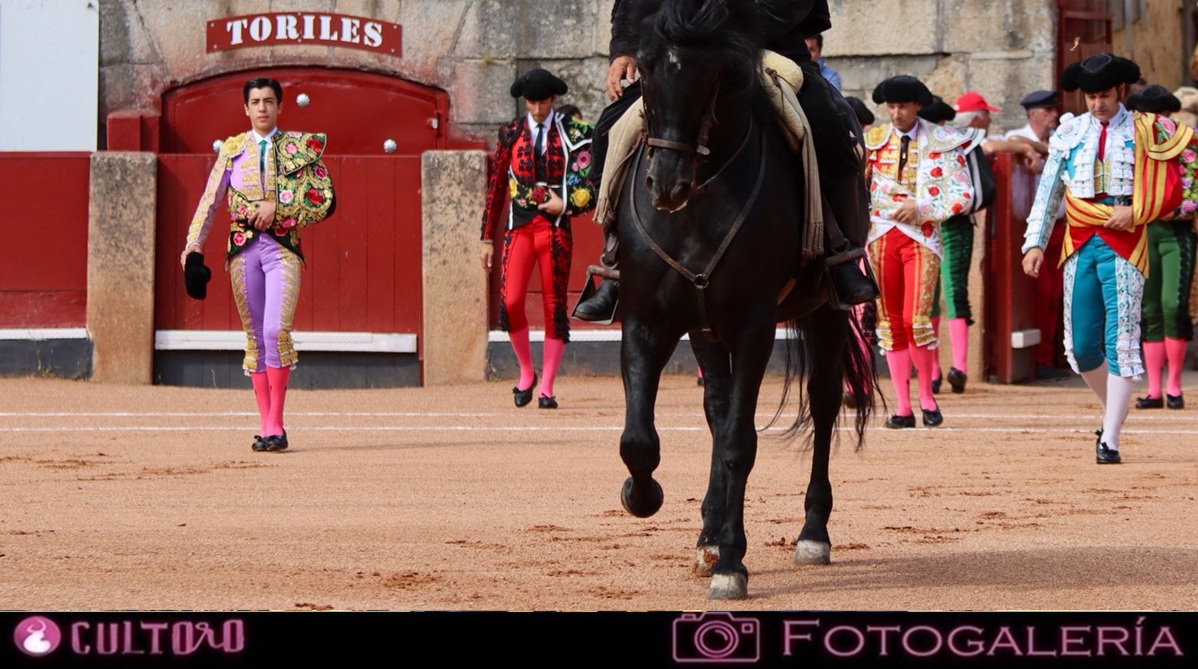 Galeria