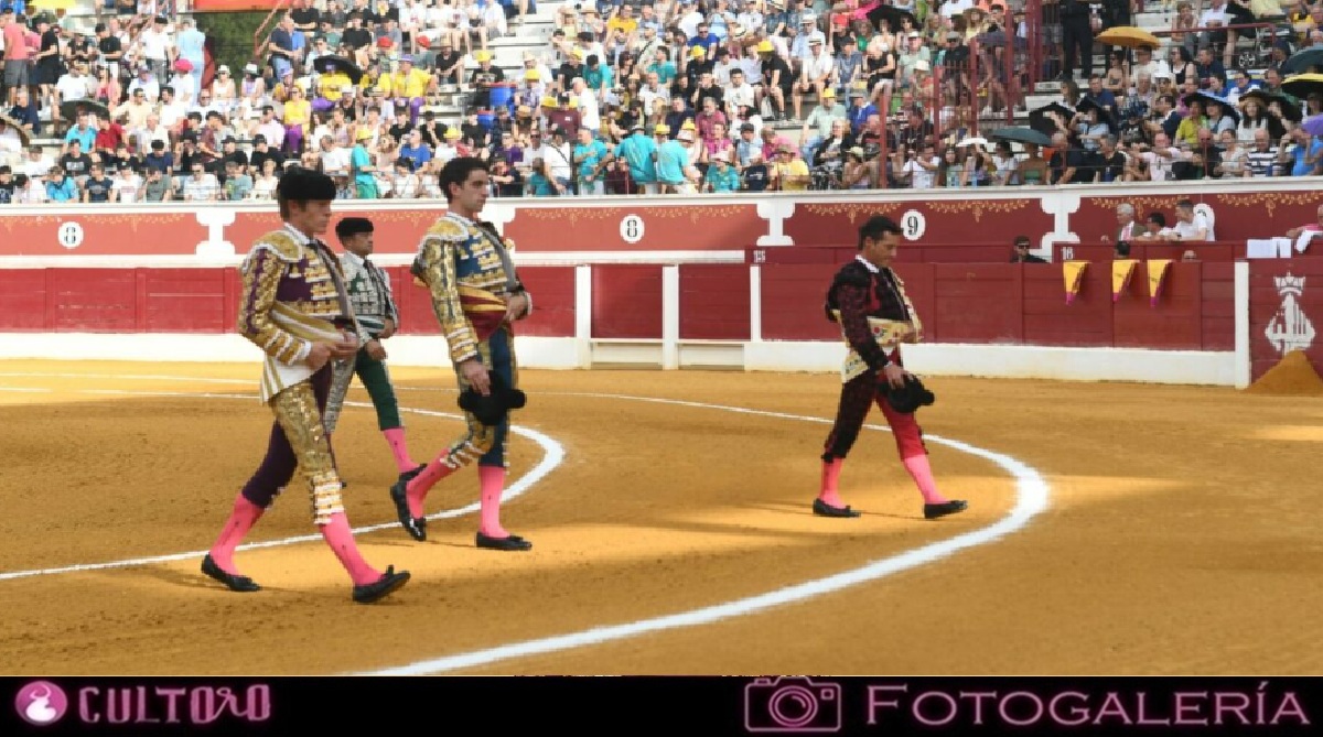 Galeria