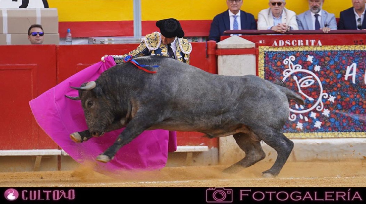 Galeria