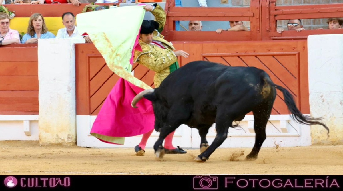 Galeria