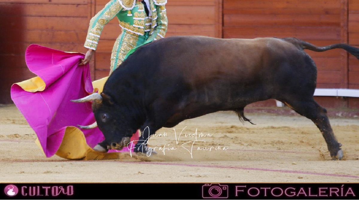 Galeria