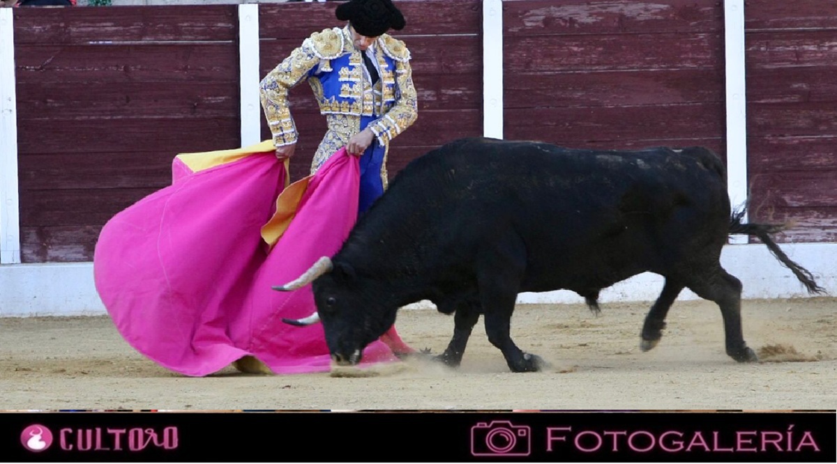 Galeria