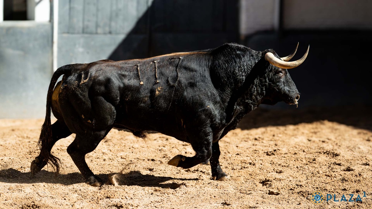 Juan Pedro Detalles (12)
