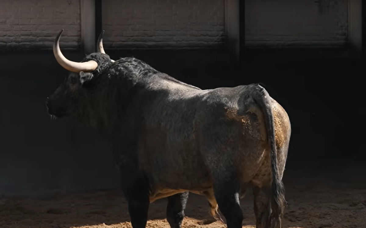 Milhijas Toro