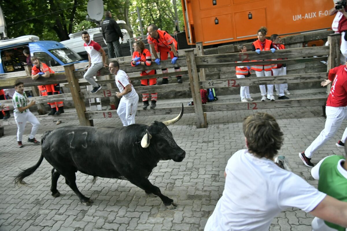14 Encierro Cebada
