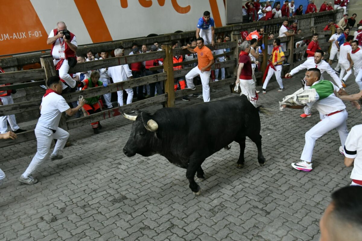 15 Encierro Cebada