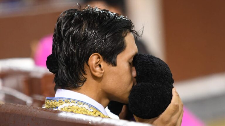 El valor de Aloi, la pureza de Pedro Luis y el tendido de una plaza de palos