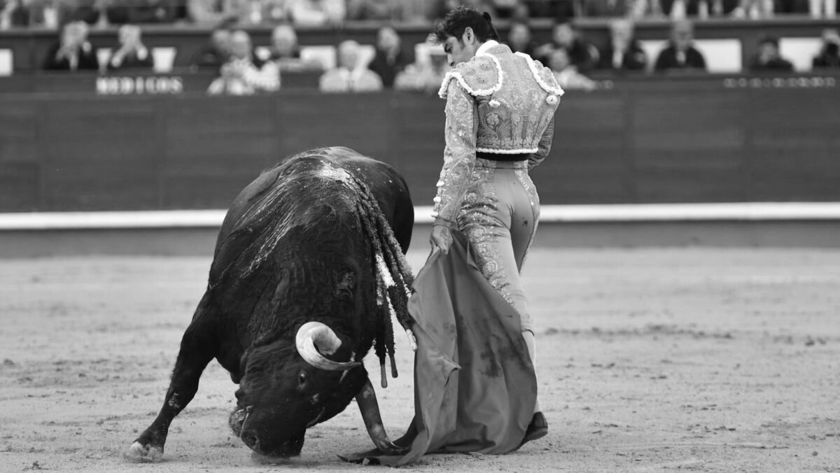 Amargado De Fuente Ymbro