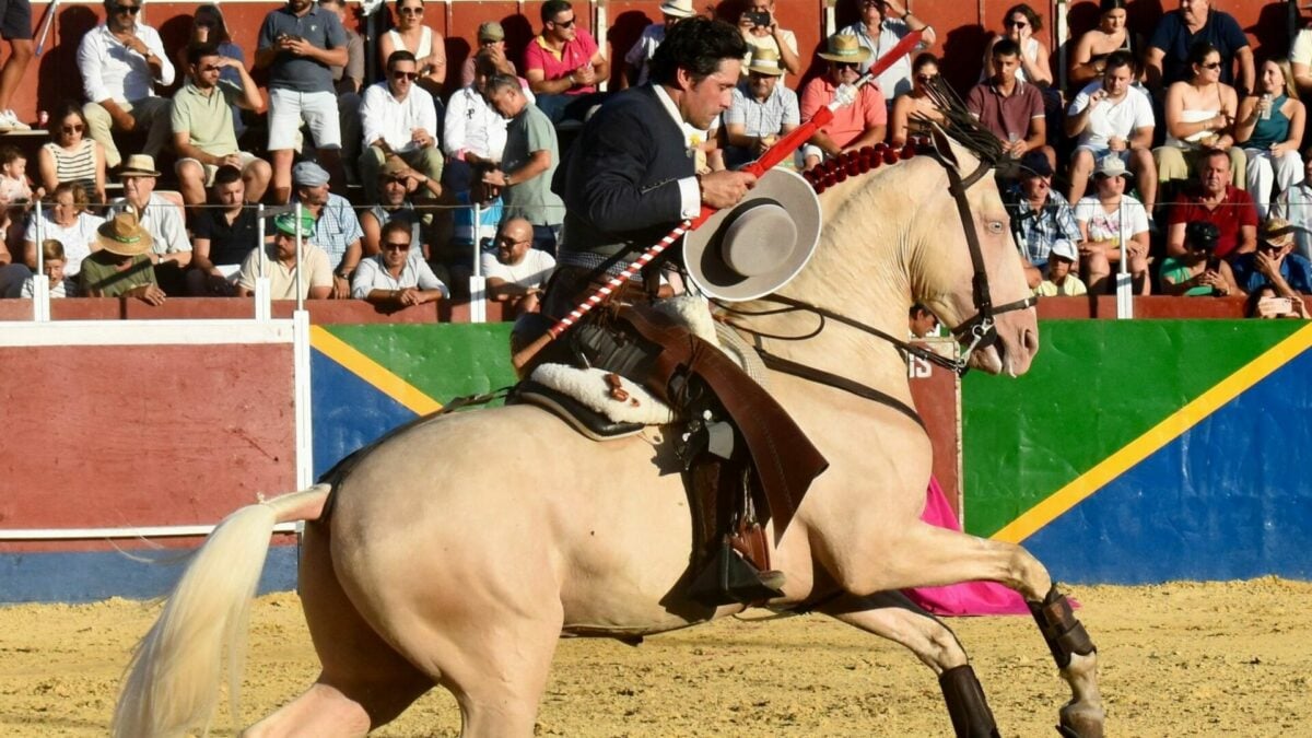 Caballo Romeo