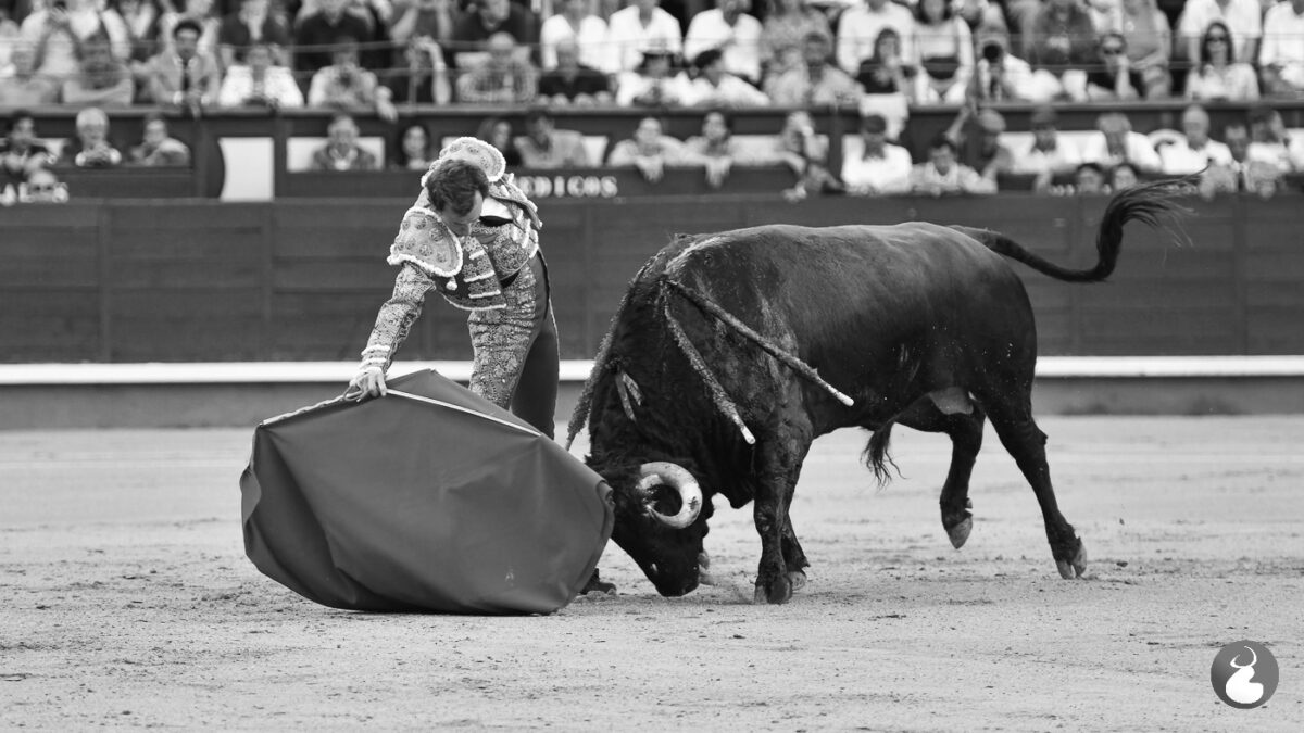 Comisario De Fuente Ymbro