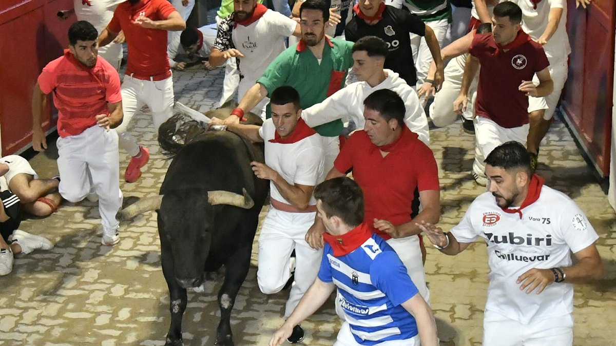 Encierro Jandilla