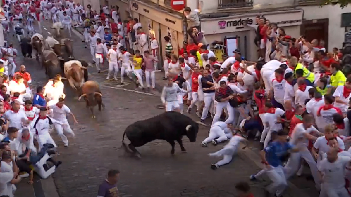 Encierro La Palmosilla
