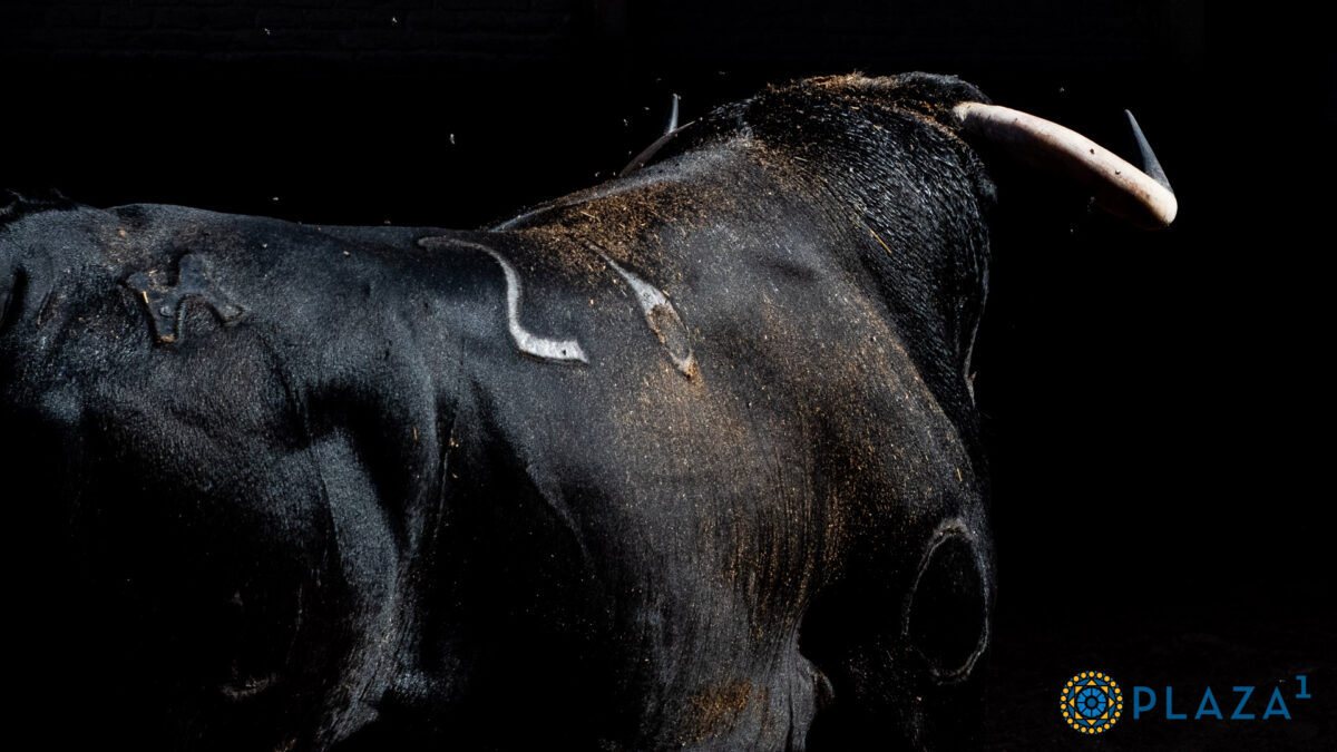 Juan Luis Fraile Detalle (1)