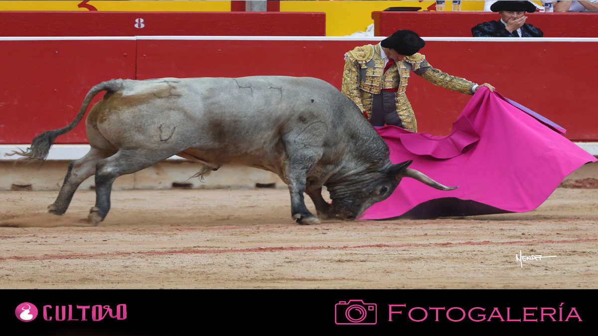 Pamplona