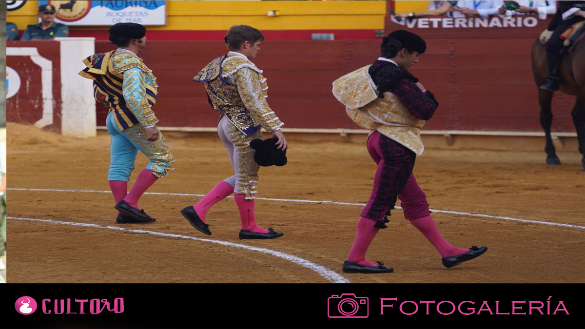 Plantilla Fotogalería