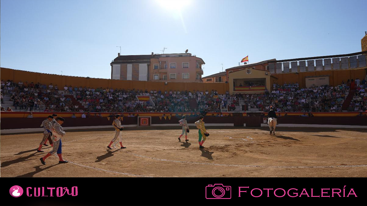 Plantilla Fotogalería