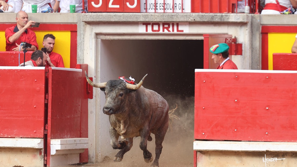 José Escolar se alza con el premio ‘Feria del Toro’ y ‘Lioso’ de Cebada e ‘Histórico’ de Jandilla con el Carriquiri