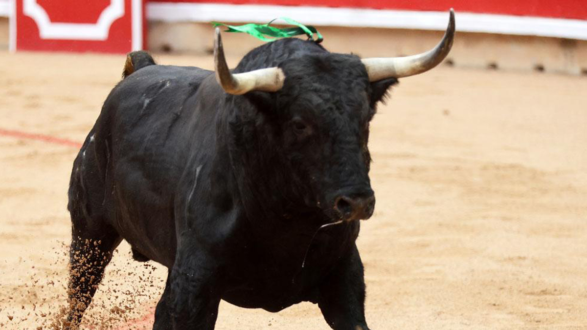 Toro De Fuente Ymbro