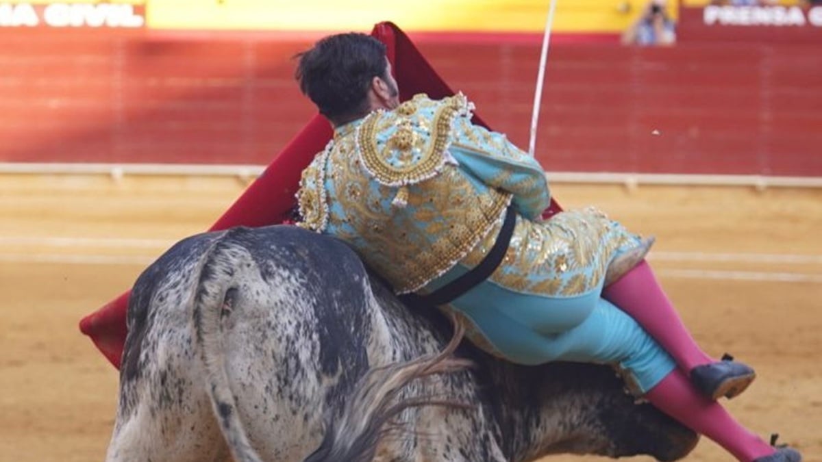 Eduardo Porcuna