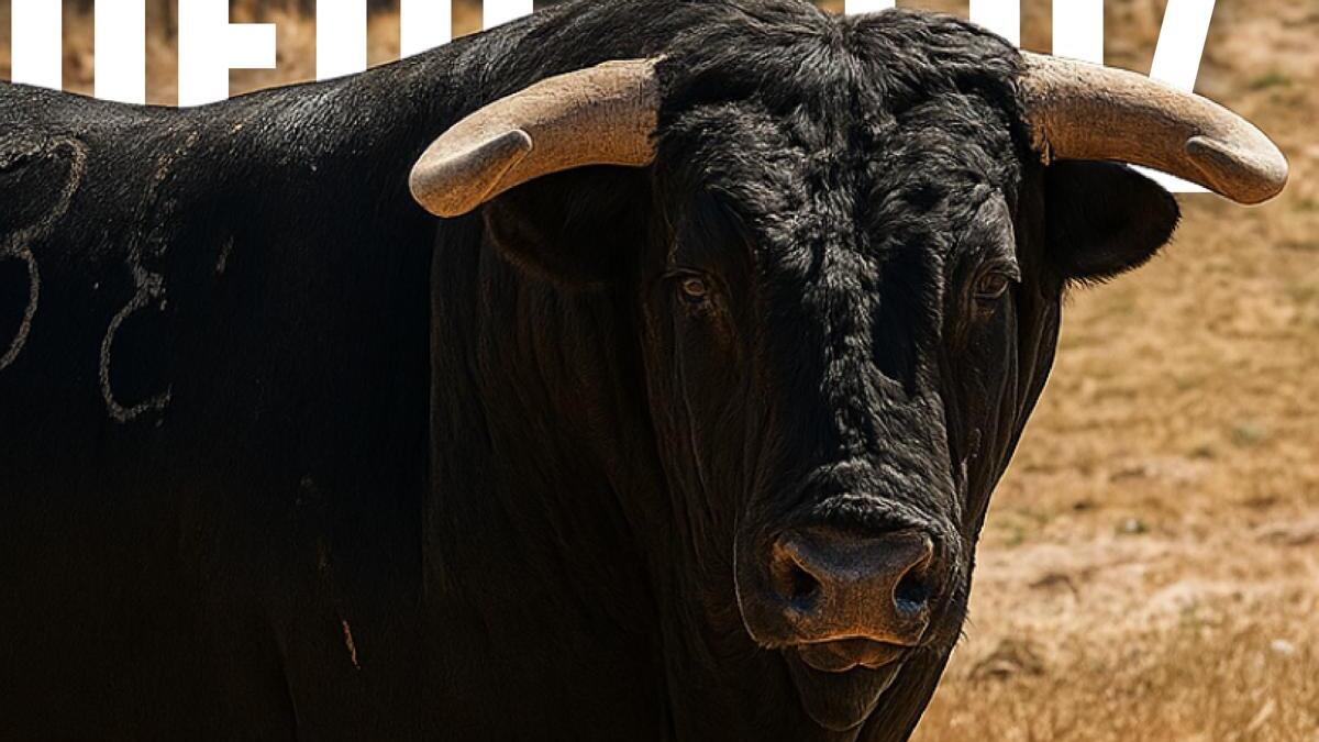 Los toros de Passanha para Figueira da Foz