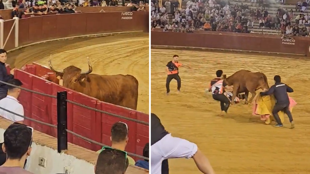 Arriazu