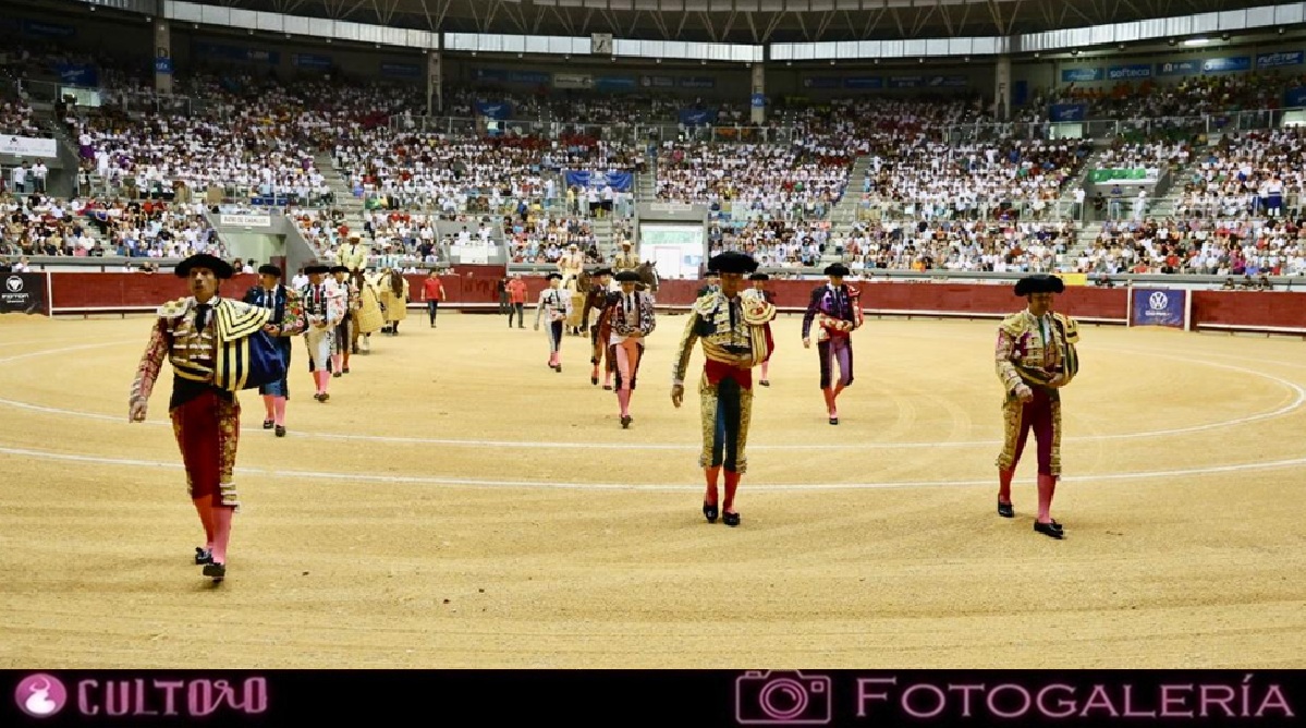Galeria