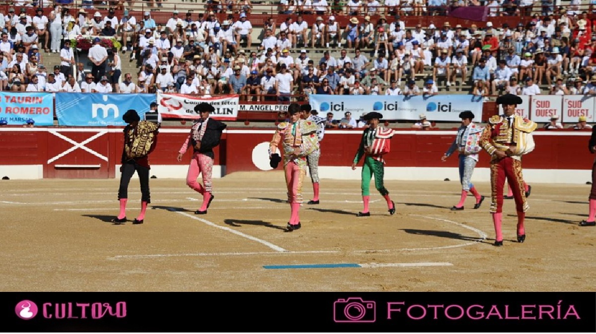 Galeria