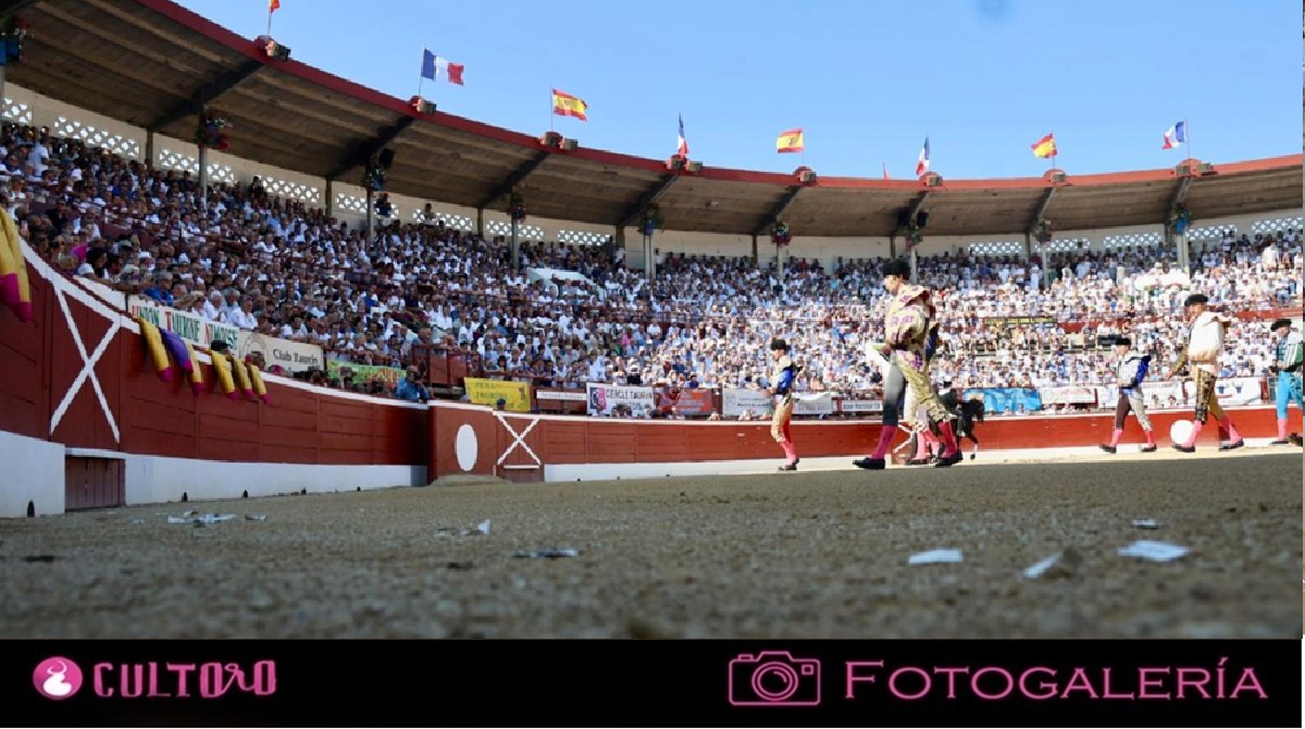 Galeria