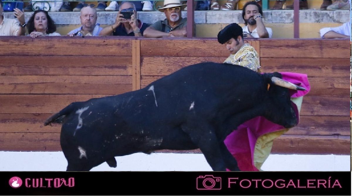 Galeria
