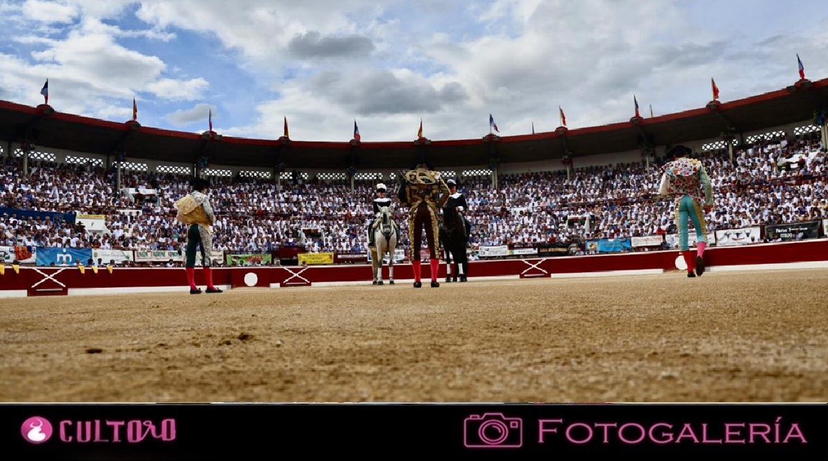 Galeria