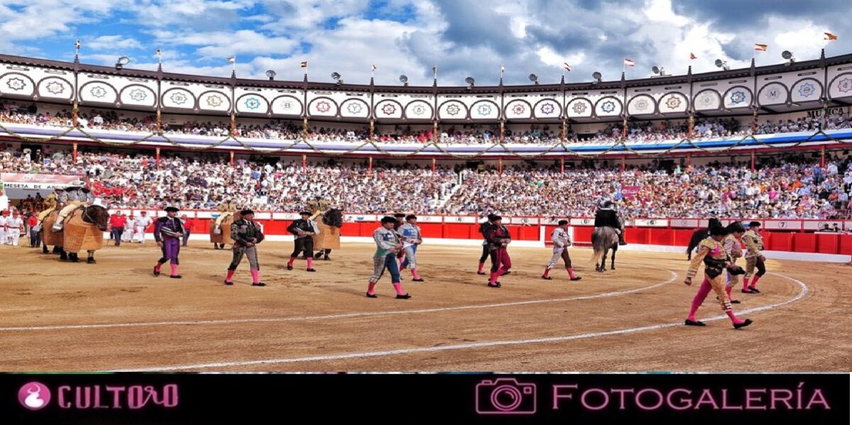 Galeria