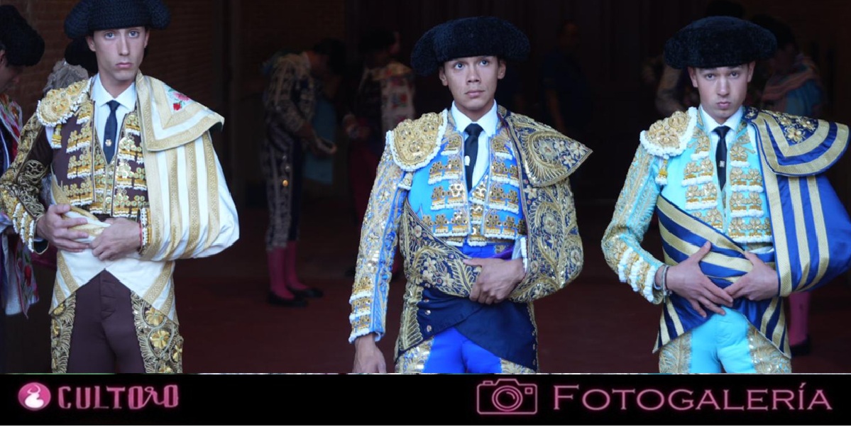 Galeria