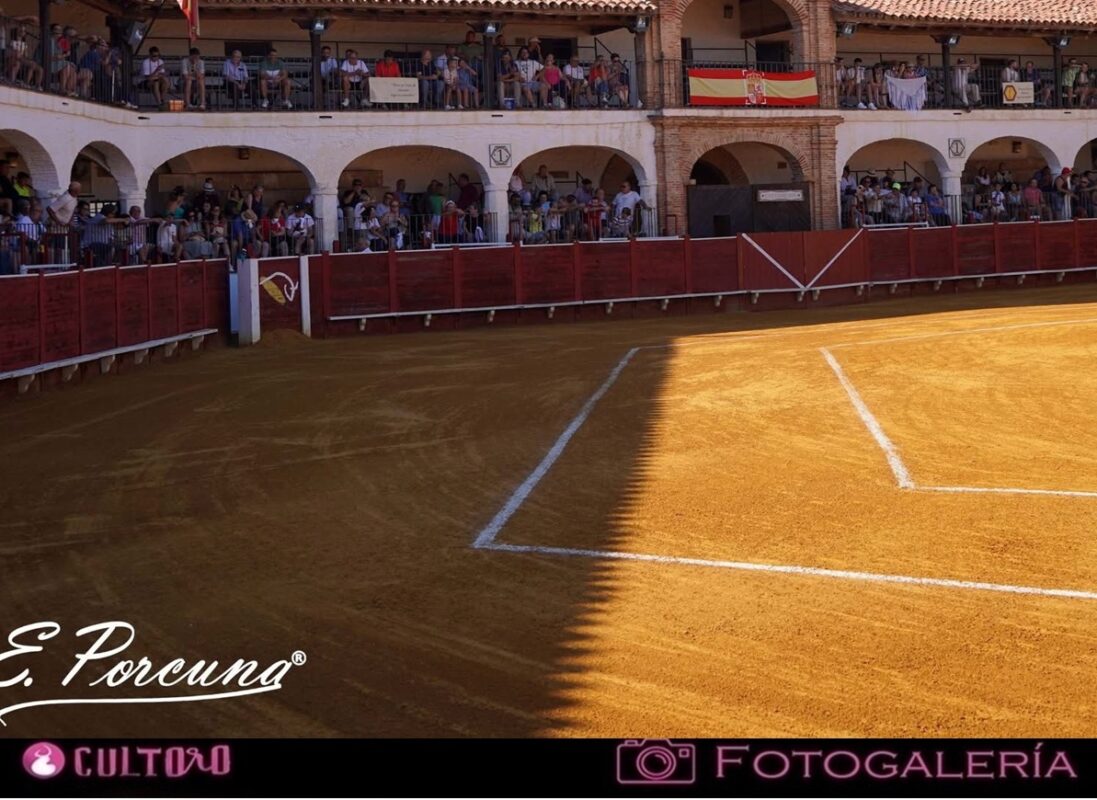 Galeria