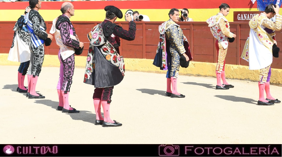 Galeria
