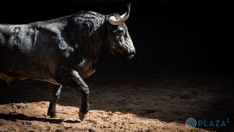 El ‘campanazo’ del fin de semana lo da Victorino: la corrida que se dará por televisión en abierto